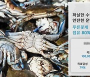 [스프] '월 수익률 21% 푸른꽃게'는 함정이었다…수억 원 사기 사건의 전말