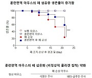 울산의대 최은영 교수팀, 베타-글루칸의 폐 섬유화 완화 규명