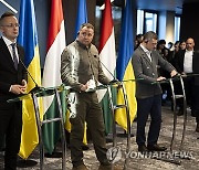 Ukraine Hungary Foreign Ministers