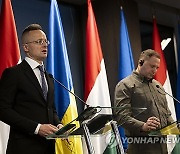 Ukraine Hungary Foreign Ministers