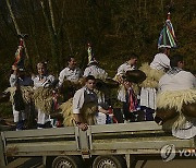 Spain Traditional Carnival