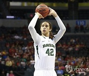 Baylor Griner Jersey Basketball