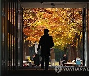 대학 절반은 이미 자유전공 시행…미시행 대학 77% "향후 도입"