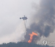 충남도, 다음 달부터 '산불방지대책본부' 가동