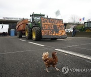 France Farmers Protests