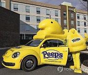 PEEPS Brand Invites Fans to Stay in the First-Ever ‘PEEPS Sweet Suite’