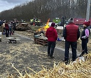 Belgium Farmers Protests