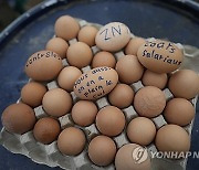 France Farmers Protests