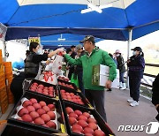 맛·품질 인정받은 '양구 사과' 재배면적↑… "안정적 생산 기반 마련"