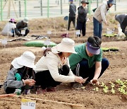 성동구, 무지개텃밭 및 다산농원 분양