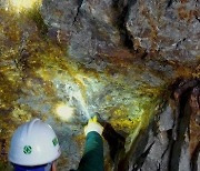 충북 제천에서 금맥 폭 45m에 연장 1,800m의 국내 최대 금맥 발견