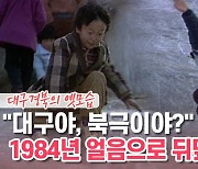 [백투더투데이] "대구야, 북극이야?" 1984년 얼음으로 뒤덮인 동네