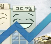 보험사 `성과급 잔치`… 삼성화재는 연봉 50%