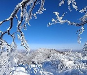 [날씨] 전국 곳곳에 눈 또는 비…강원도 최대 15㎝ 눈