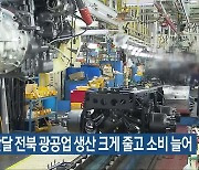 지난달 전북 광공업 생산 크게 줄고 소비 늘어