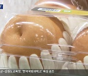 저렴해도 배 한 개에 5,200원…설 물가 ‘비상’