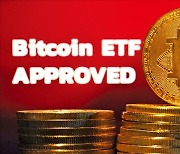 'ETF 흥행' 불발…새해 들어 1000만원 넘게 빠진 비트코인