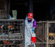 "조류 바이러스에 그만"…첫 사망 환자 발생