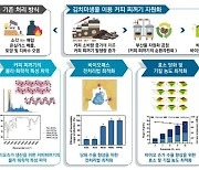 김치미생물로 커피찌꺼기서 '젖산' 생산…年 100억 비용 절감