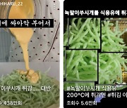 튀기면 다 맛있다? '녹말 이쑤시개' 먹방에 제조업체 사장 꺼낸 말