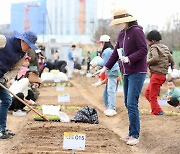 서울 성동구, 2월 8일까지 무지개 텃밭·다산농원 분양자 모집