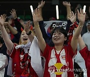 Qatar Saudi Arabia South Korea Asian Cup Soccer