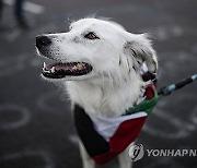 COSTA RICA PROTEST ISRAEL GAZA CONFLICT