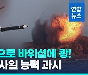 [영상] 북, 순항미사일 저공비행 사진 공개…일본 토마호크 도입은 비난