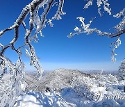 [날씨] 전국 흐리고 곳곳 눈비…강원도 최대 15㎝ 눈