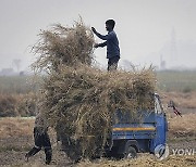 India Daily Life