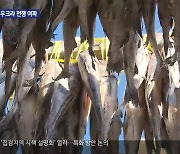 인제 황태 미국 수출 6년 만에 중단…러시아-우크라 전쟁 여파