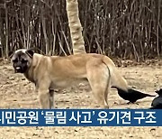 부산시민공원 ‘물림 사고’ 유기견 구조