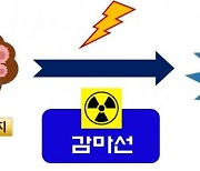 원자력연 '하수슬러지 재활용 기술' 에이치엔엠바이오에 이전