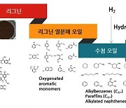 '목제 폐기물에서 항공⋅선박유 생산' 기술개발