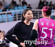 '어색함도 잠시'…A부터 Z까지 알려주는 '월드스타 김연경의 매력에 빠진 윌로우' [곽경훈의 현장]