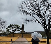 "난소 혹 모양이 삐죽삐죽... MRI를 찍어볼까?"