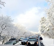 외국 관광객들을 위한 제주 여행 정보는 바로 여기