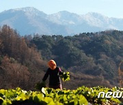 [낙동포럼] 운조루와 나폴리는 닮았다