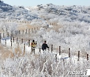 전국 흐리고 수도권 미세먼지 '나쁨'…일부 지역 눈·비[오늘날씨](종합)