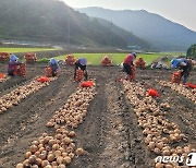 합천군, '1억 소득 부자농업인' 지난해 1800명…내년까지 3000명 육성