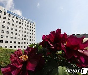 서울교육청, 교장·교감·교육전문직 등 547명 정기인사 실시