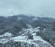 입춘 앞두고 20cm 넘는 눈...강원도는 겨울왕국