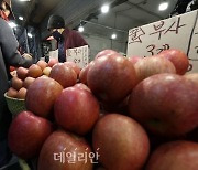 농식품부, 100억원 추가 투입…‘금사과・배’ 가격 방어