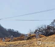 이재명 부모 묘 훼손한 4명 기소유예..."저주 아냐"