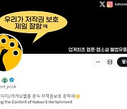 “만화 불법 유통 막았더니”… 해외서 ‘악플’ 시달려