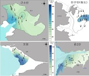 수과원, 서해안 바지락 생산 최적 조건 찾았다