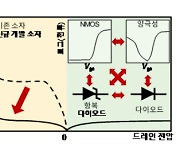 카이스트, 차세대 2차원 반도체 다기능 전자 소자 개발