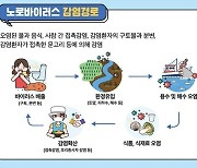 '겨울철 불청객' 노로바이러스 신고 급증…"어패류 익혀드세요"