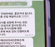 [단독] "선임 애널리스트입니다" 텔레그램 종목 추천방 가짜였다