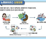 ‘어패류 비상’ 노로바이러스 또 다시 문제 ‘굴 제품’